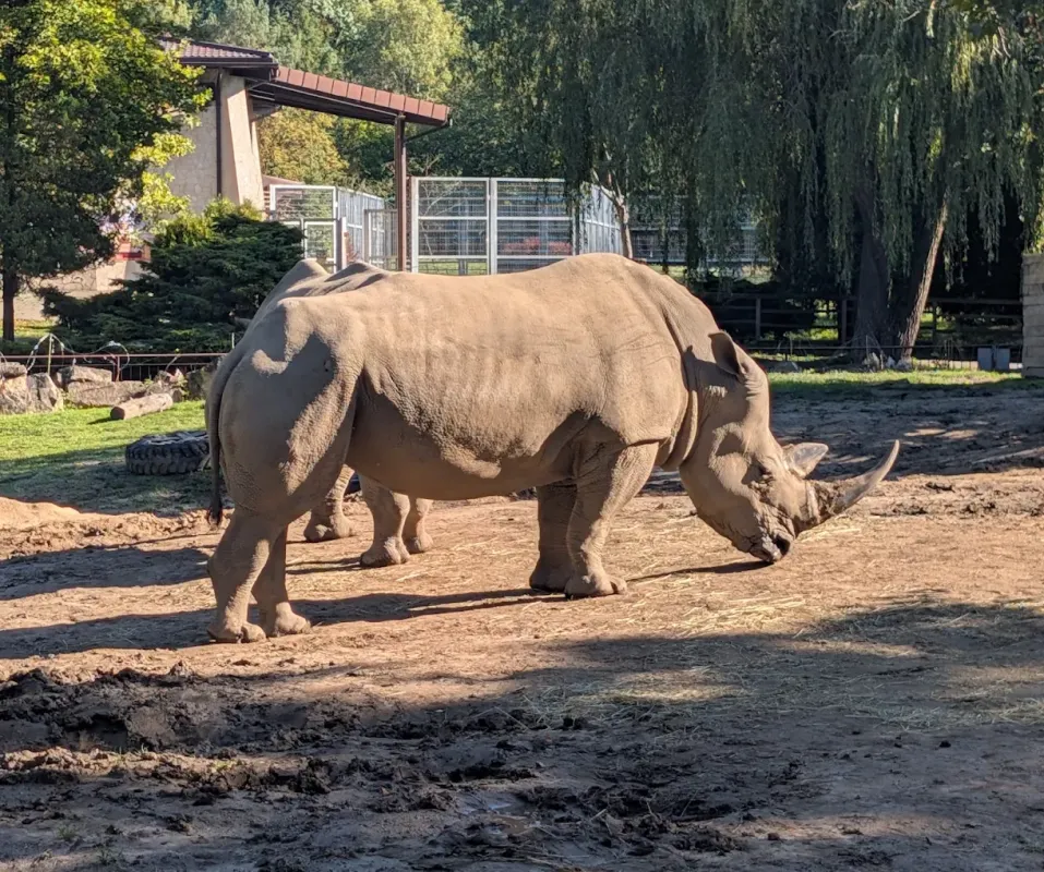Śląski Ogród Zoologiczny